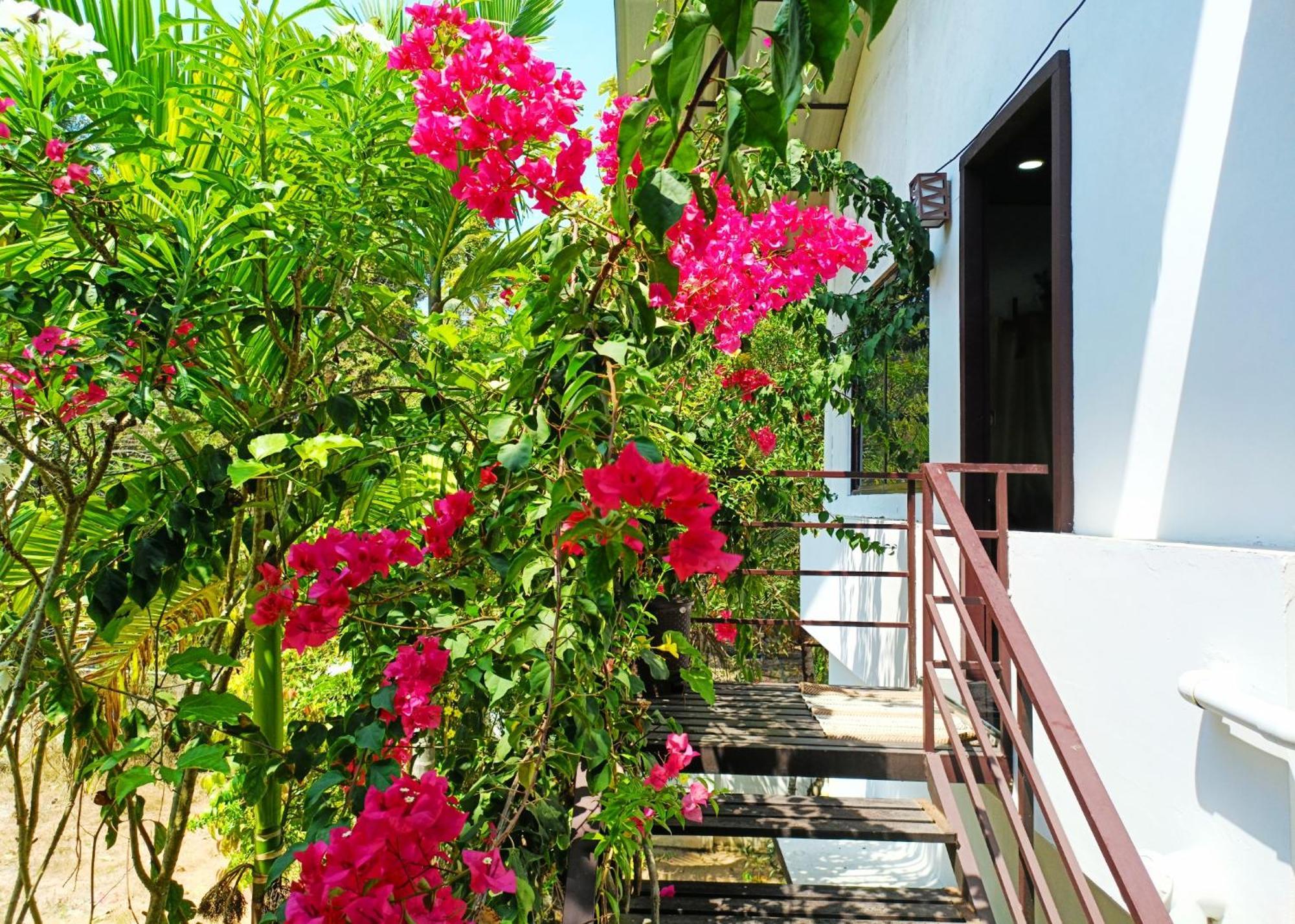 Alma Homestay Mararikulam Dış mekan fotoğraf